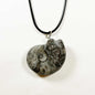 Mystical Ammonite Goniatite Fossil Necklace For Ancient Energy