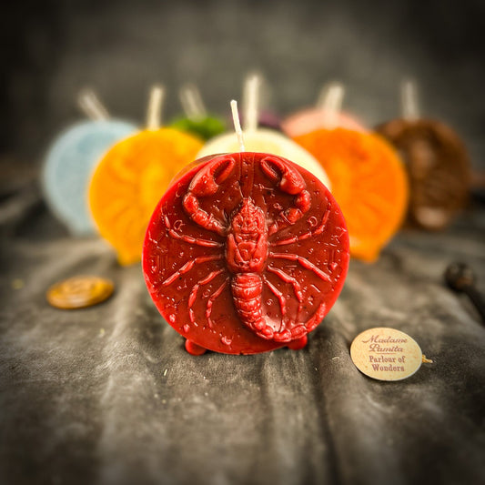 Beeswax Scorpio Scorpion Zodiac Spell Candle