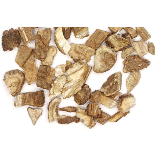 Premium Burdock Root Herb for Mystical Healing Rituals