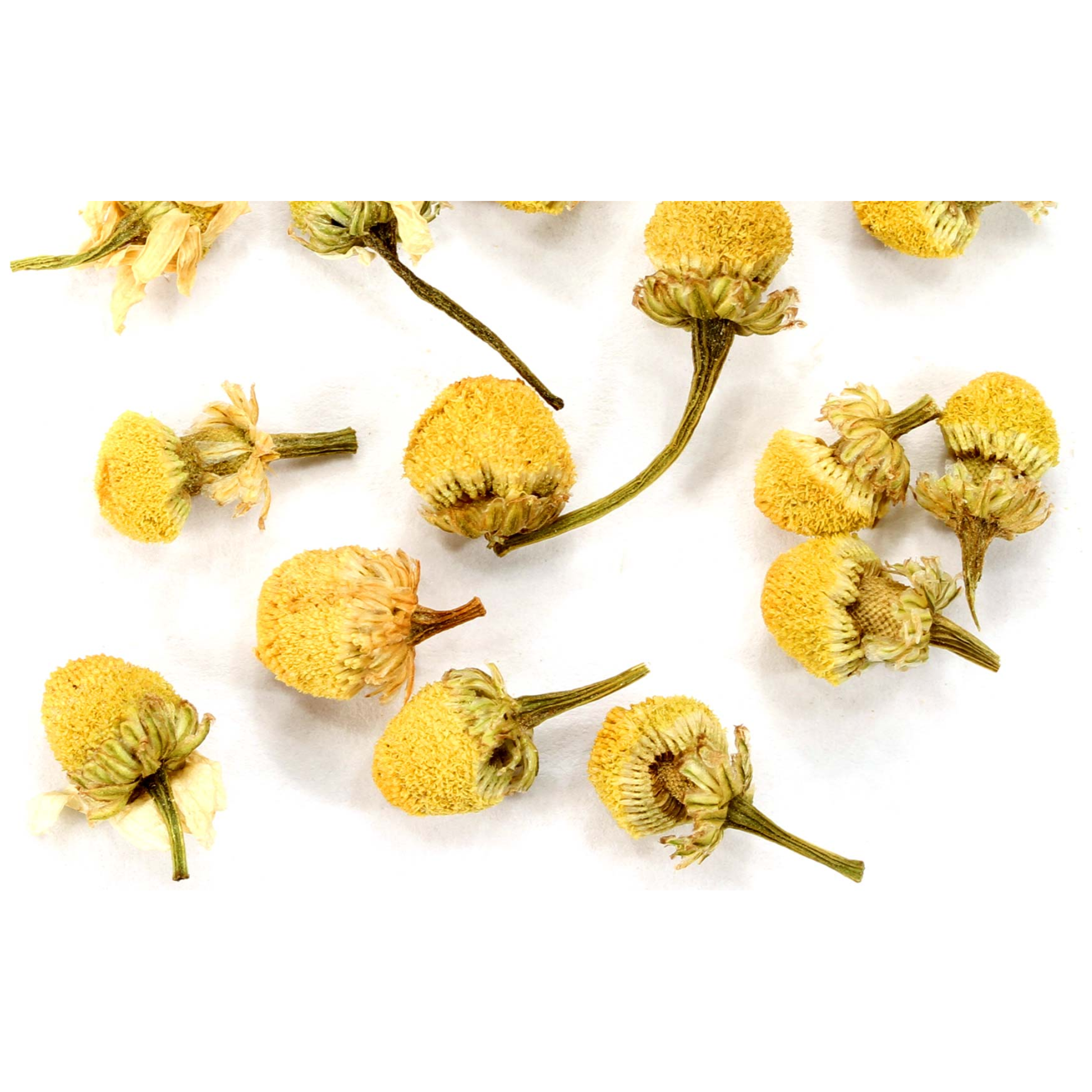 Organic Chamomile Herb for Relaxation and Healing