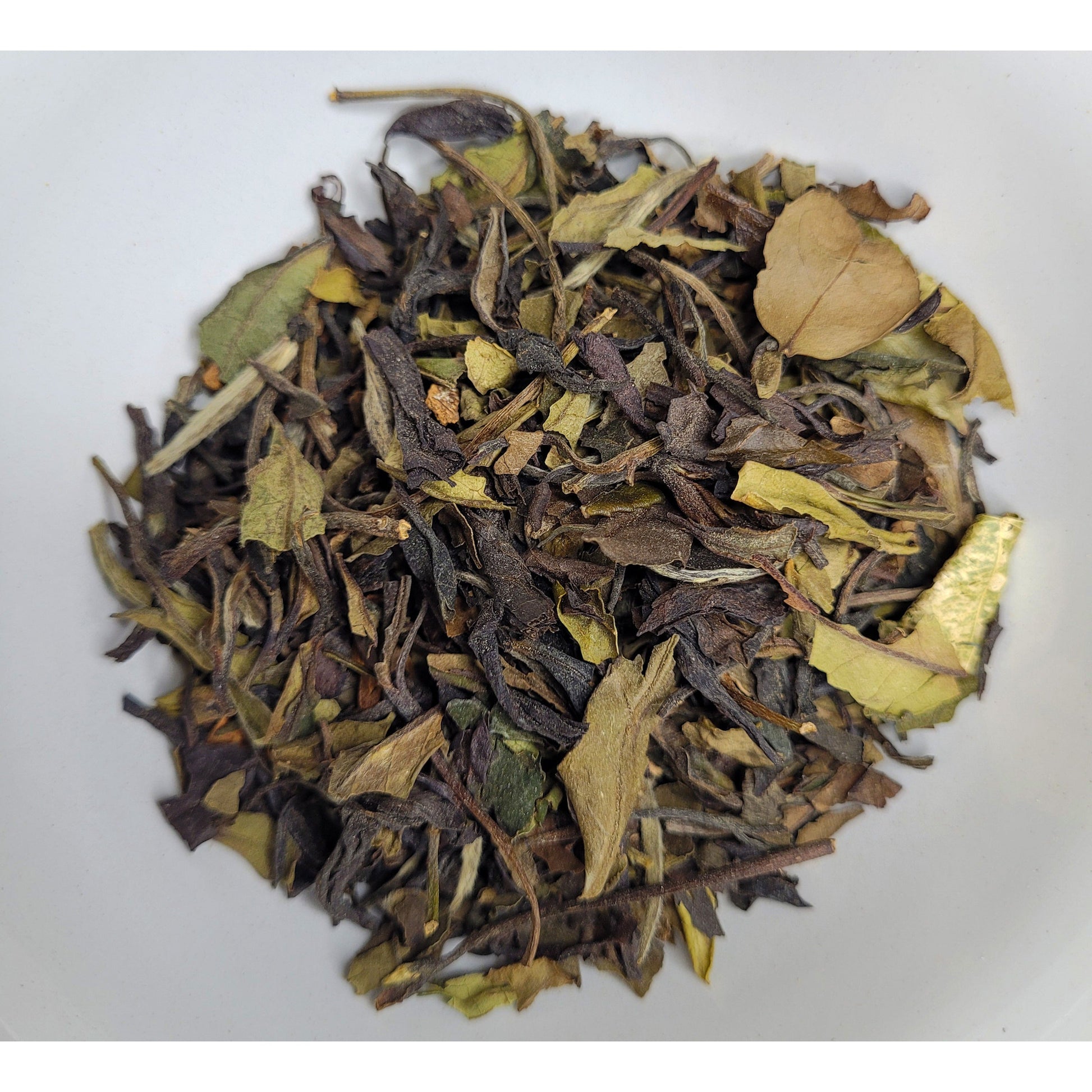 Yukina's Healing Touch Infused White Oolong Holiday Tea