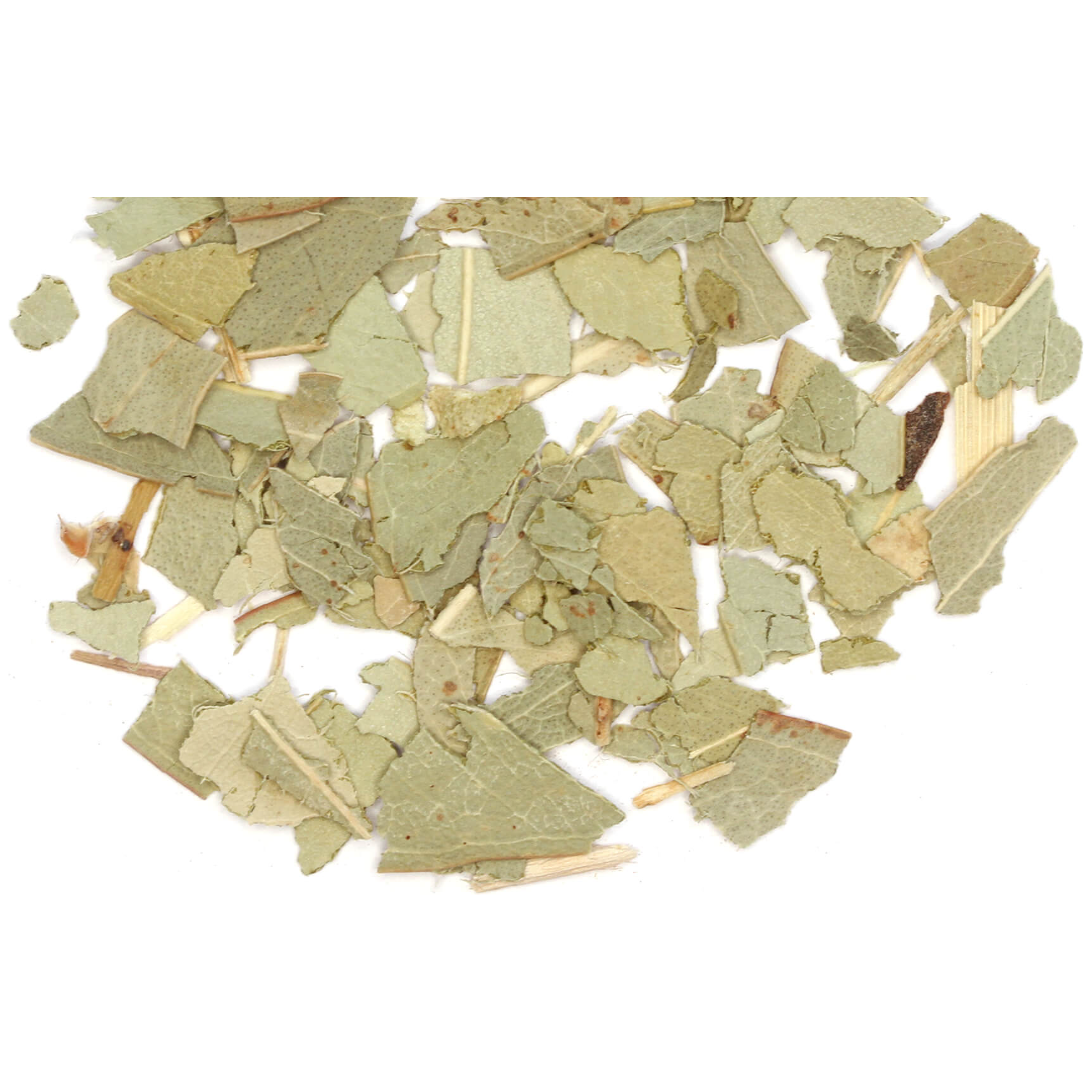 Organic Eucalyptus Herb for Healing and Protection Rituals