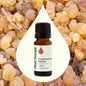 Plant Therapy Frankincense Serrata Essential Oil 10 Ml