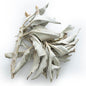 White Sage Incense for Spiritual Healing | Mystics Vibe