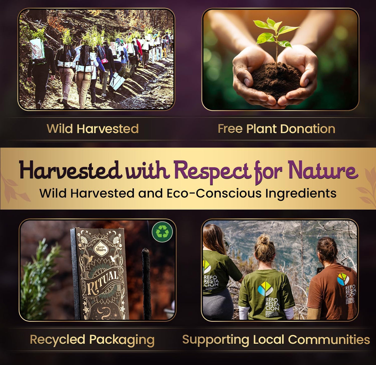 Frankincense Palo Santo Incense