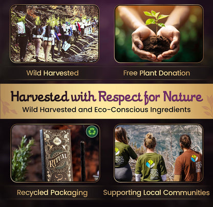 Frankincense Palo Santo Incense