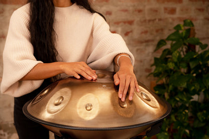 Sensory Handpan, D Kurd, 10 Notes, Vintage Gold