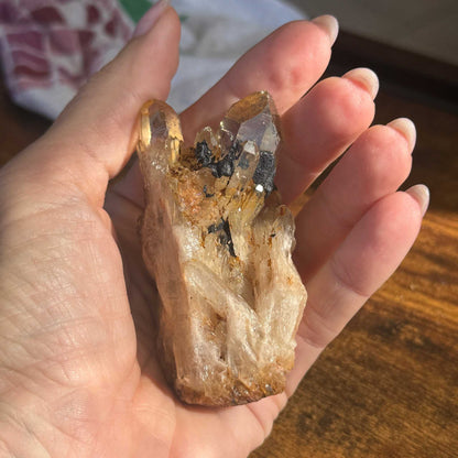 Kundalini Citrine Cluster with Guardian Hematite ✨🖤🦁