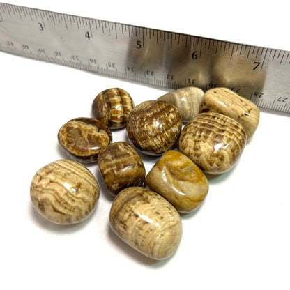 Aragonite Tumbled Stone for Grounding Stability and Harmony