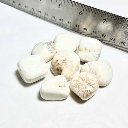 Scolecite Tumbled Stone