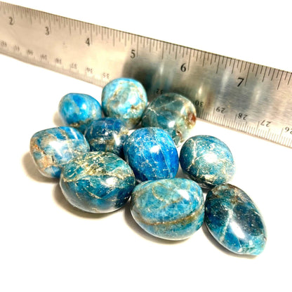 Blue Apatite Tumbled Stone for Inspiration | Mystics Vibe