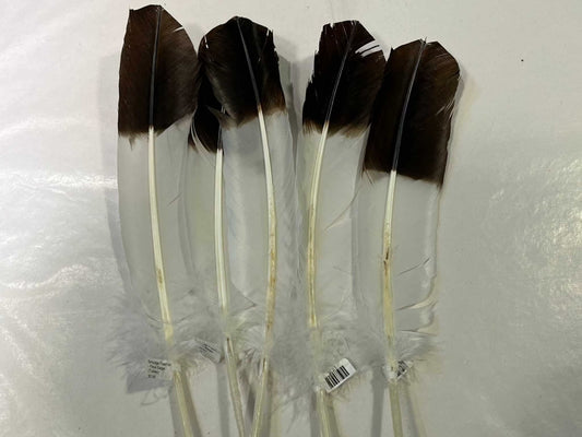 Smudge Feather - Faux Eagle (Turkey)