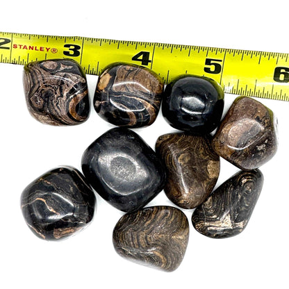 Stromatolite Tumbled Stone for Divine Wisdom Grounding