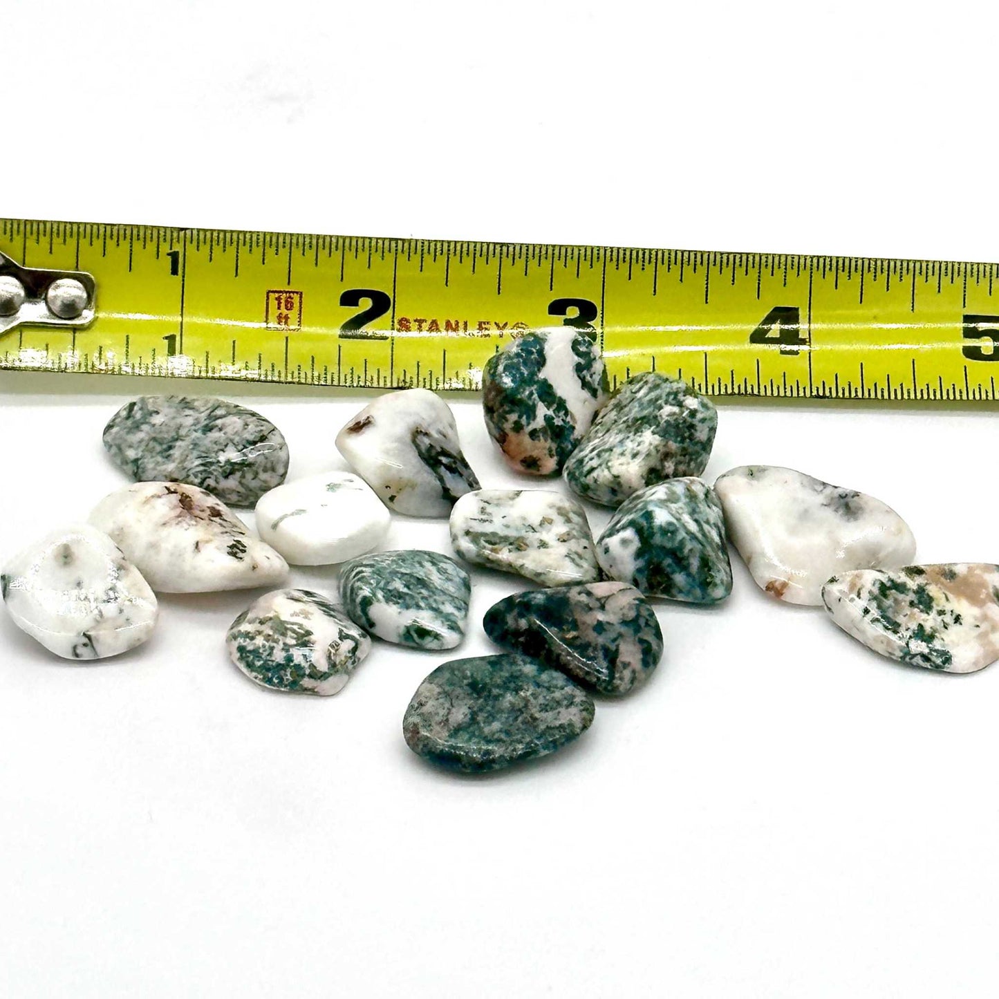 Tree Agate Tumbled Stone for Growth and Tranquility