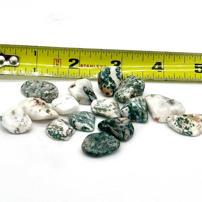Tree Agate Tumbled Stone for Growth and Tranquility