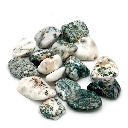 Tree Agate Tumbled Stone for Growth and Tranquility