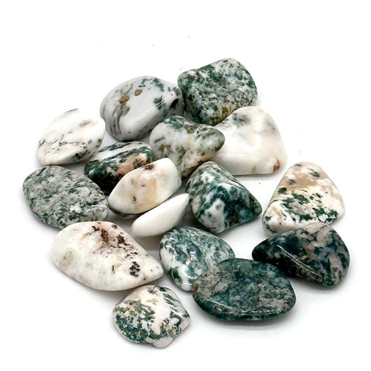 Tree Agate Tumbled Stone for Growth and Tranquility