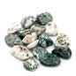 Tree Agate Tumbled Stone for Growth and Tranquility