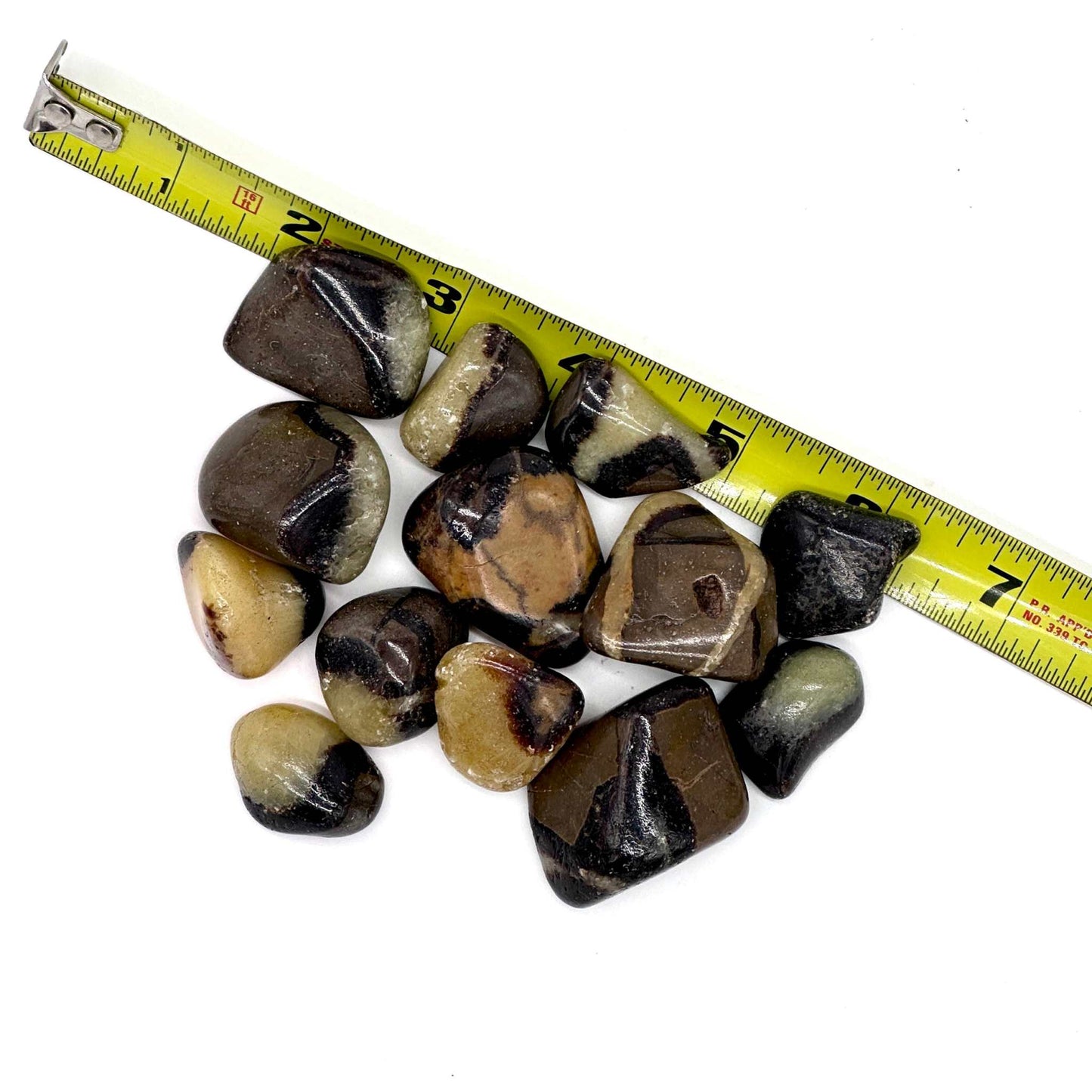 Septarian Dragon Stone Tumbled Crystal for Strength and Harmony