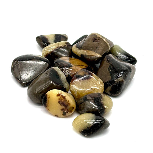 Septarian Dragon Stone Tumbled Crystal for Strength and Harmony