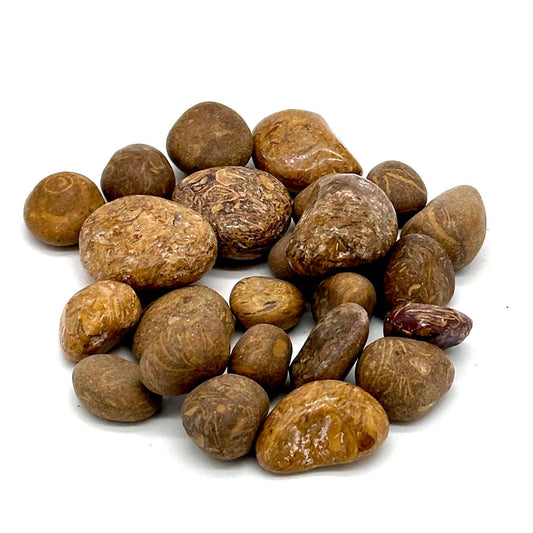 Mariam Jasper Tumbled Stone: Alchemist's Gem for Grounding