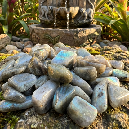 Labradorite Tumbled Stones (By The Piece Or Pound) Wholesale