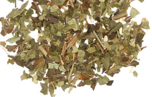 Lemon Verbena Mystical Herb for Rituals | Mystics Vibe