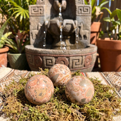 Leopardite Sphere (4 CM)(Leopard Skin Jasper) Bulk Wholesale Lot Polished Gemstone Decor Carving