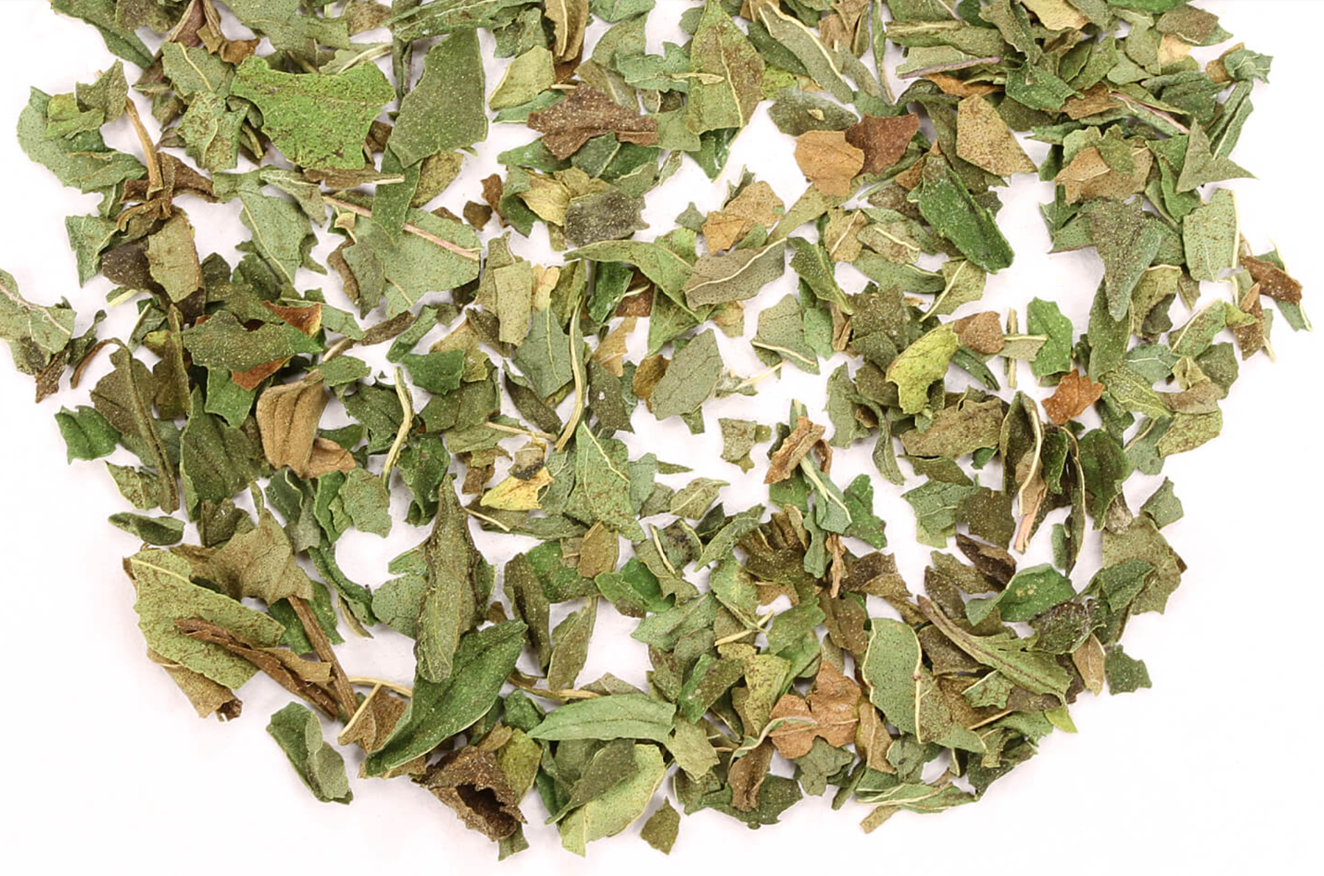 Organic Peppermint Herb for Aromatherapy and Healing