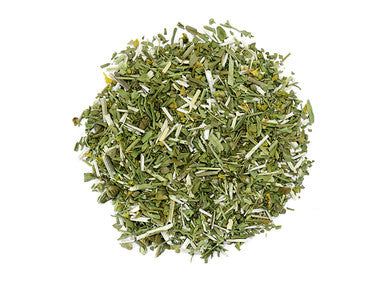 Organic Rue Herb for Spiritual Protection and Healing
