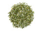Organic Rue Herb for Spiritual Protection and Healing