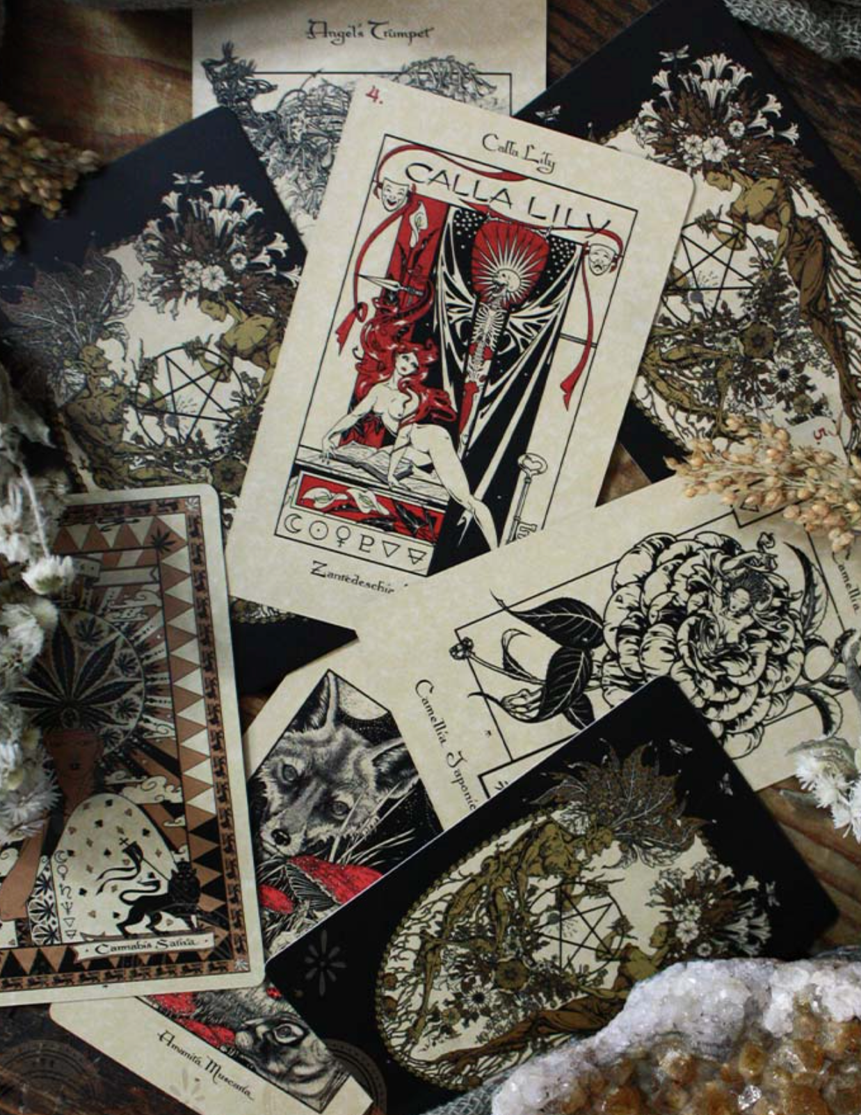 The Mystical Healing Magickal Botanical Oracle Deck