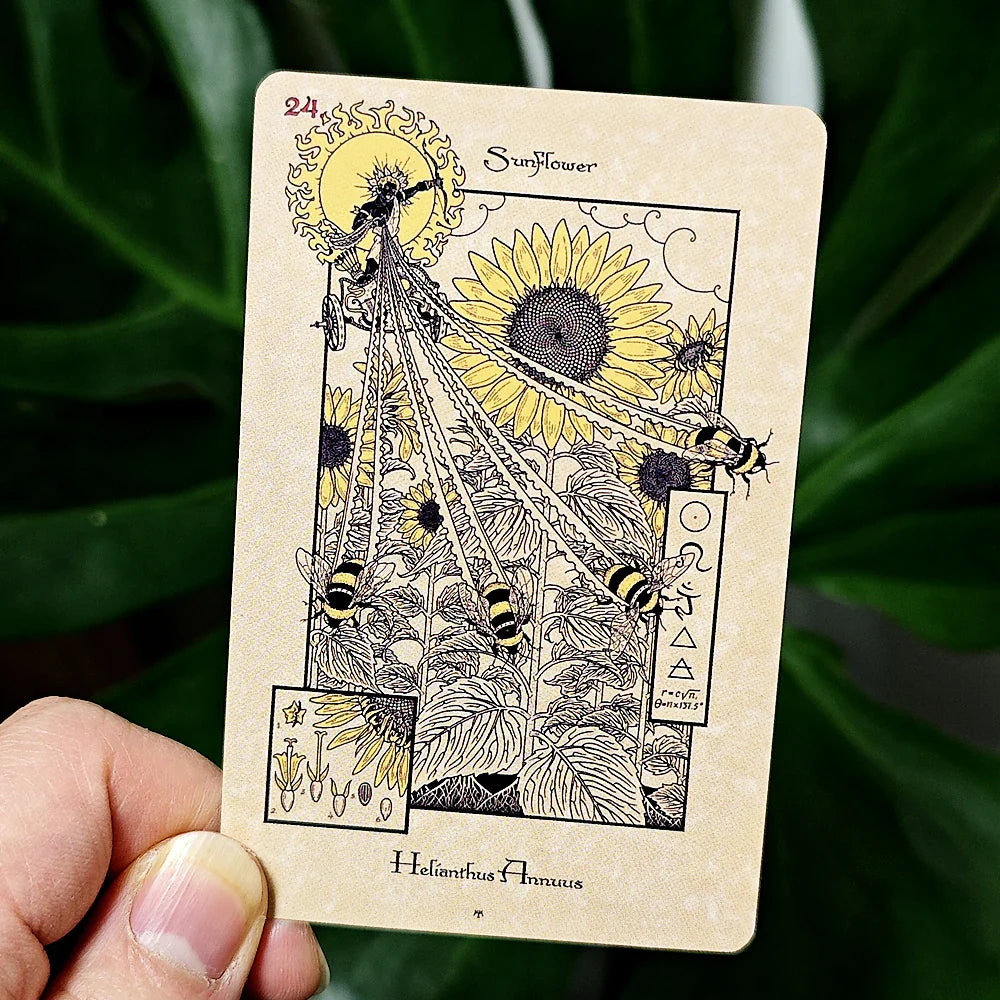 The Mystical Healing Magickal Botanical Oracle Deck