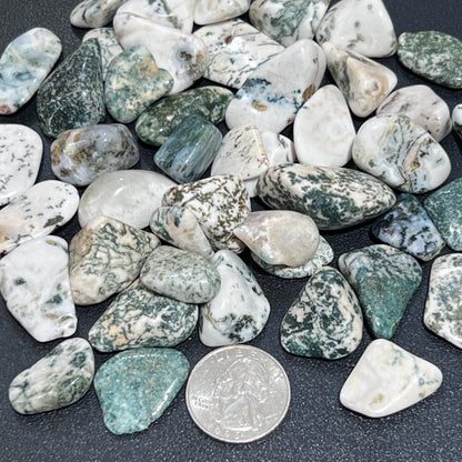 Tree Agate Tumbled Stones (By The Piece Or Pound) Bulk Wholesale Lot Polished Gemstones