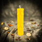 Derevo Zhyttya Tree of Life Candle Spell Kit – Growth & Spiritual Connection Ritual