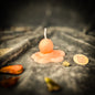 Melting Snowman Cleansing Candle Spell Kit