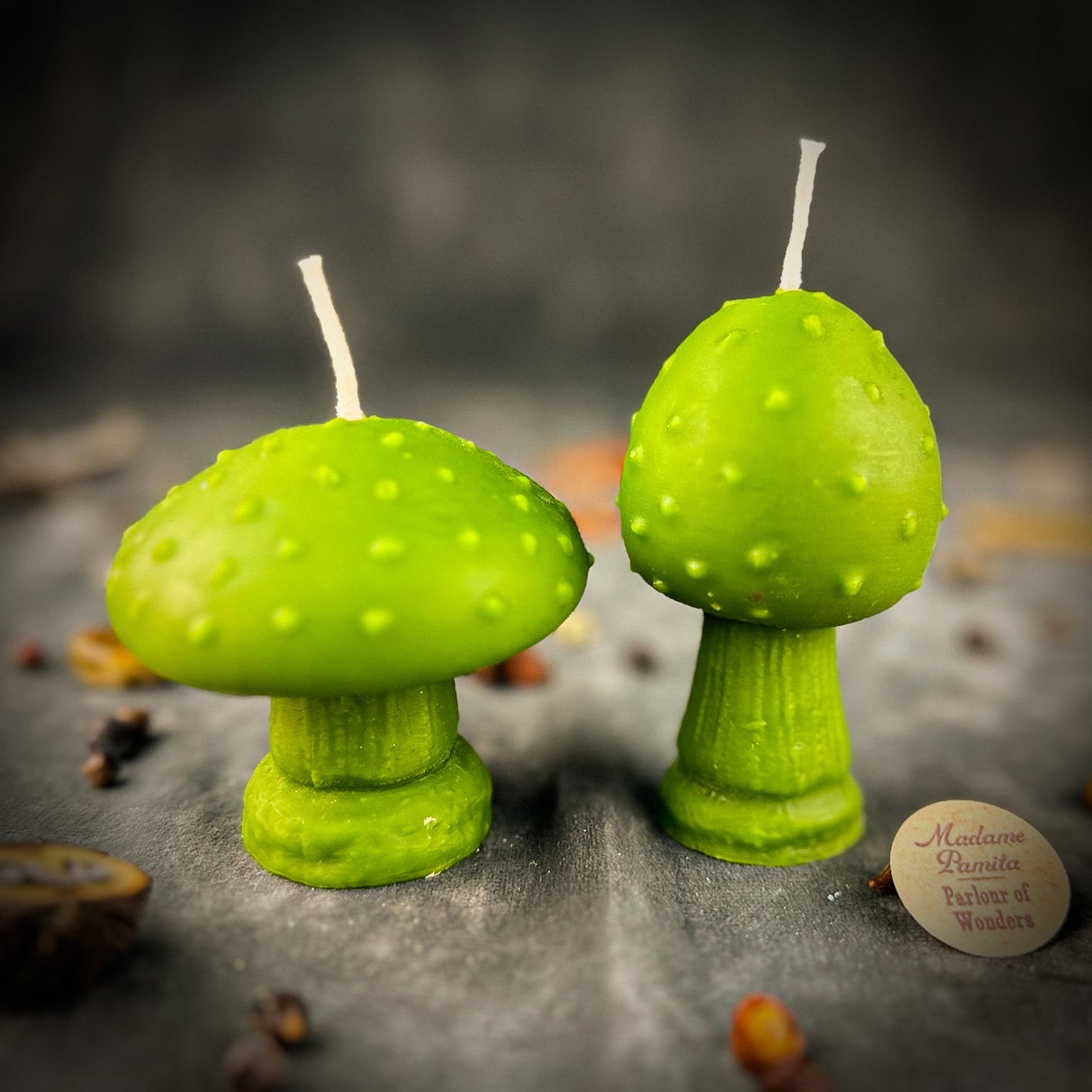 Mystical Mushroom Candle Spell Kit Duo - Forest Wisdom & Shadow Work Magic