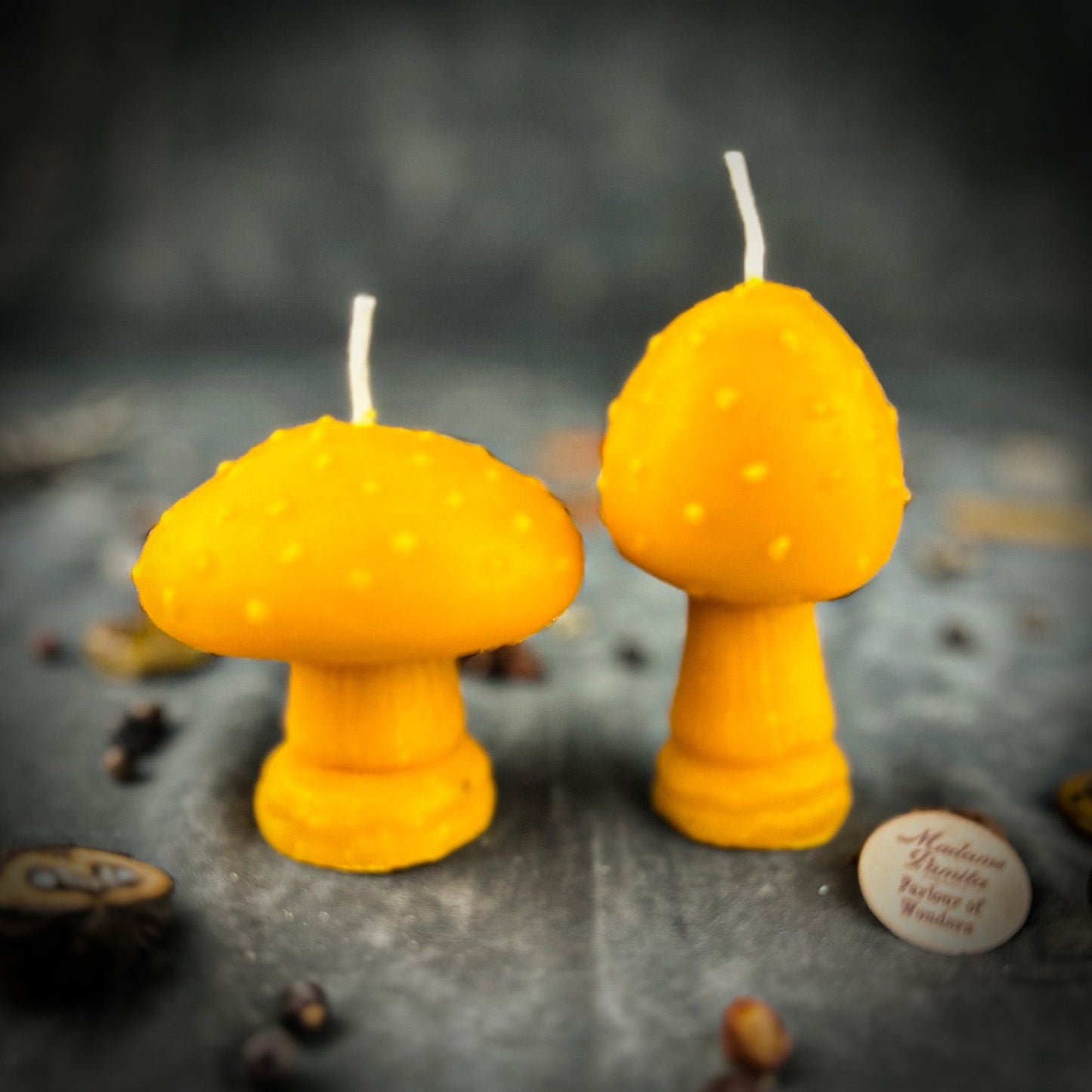Mystical Mushroom Candle Spell Kit Duo - Forest Wisdom & Shadow Work Magic