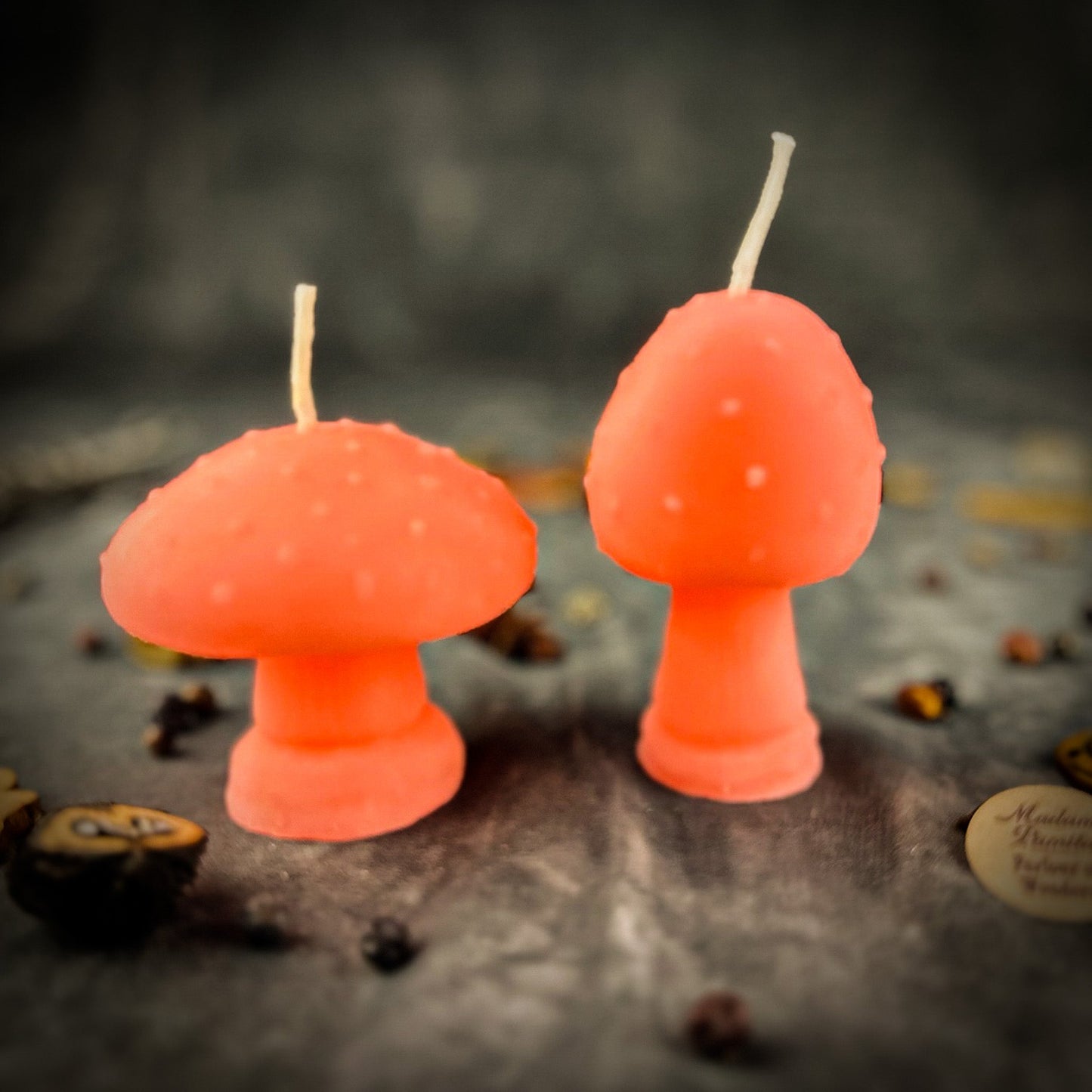 Mystical Mushroom Candle Spell Kit Duo - Forest Wisdom & Shadow Work Magic