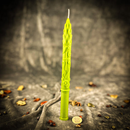 Stritennya Asparagus Taper Candle Spell Kit – Candlemas Renewal & Protection Magic
