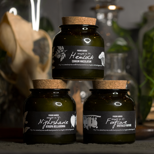 Cantrip Candles Botany: Poison Garden – 6 Oz Soy Candles, Nightshade, Foxglove or Hemlock