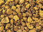 Chaga Mushroom Granules 1oz
