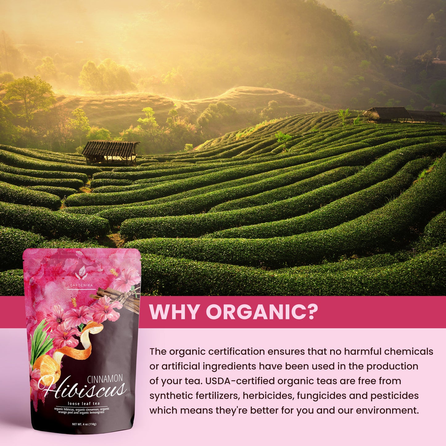 Organic Cinnamon Hibiscus Tea for Heart Health - Caffeine Free