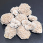 Desert Rose Selenite Crystals Rough (1 LB) One Pound Bulk Wholesale Lot Raw Gemstones