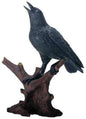 Raven on Stump