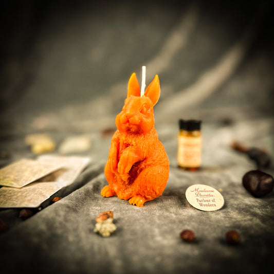Enchanted Bunny Candle Spell Kit – Abundance & Quick Thinking Magic Ritual