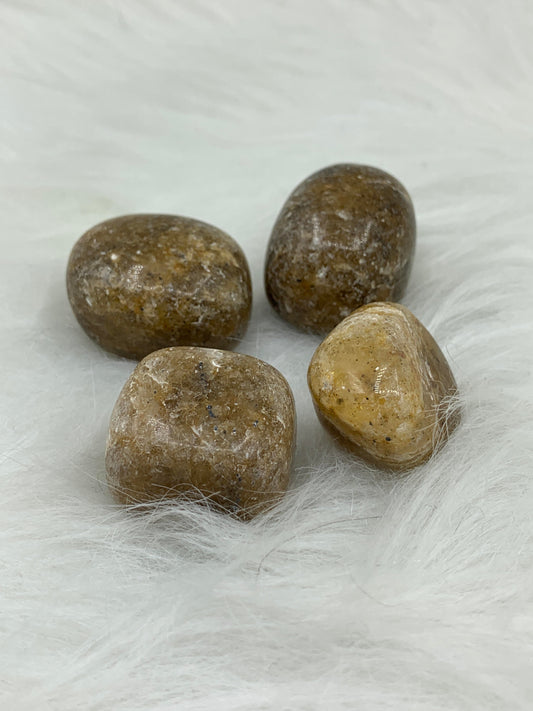 Quartz Harlequin - Tumbled