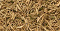 Honeysuckle Flower 1oz