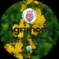 Organic Agrimony Herb.25oz for Magical Metaphysical Use