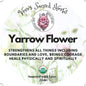 Organic Yarrow Flower Herb For Rituals And Healing
